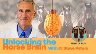 Train Your Horse With Science - Dr Steve Peters