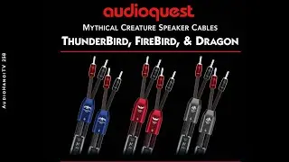 T&igrave;m hiểu d&ograve;ng d&acirc;y loa AudioQuest Mythical Creature | AudioHanoiTV 258