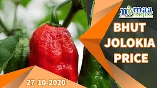 assam bhut jolokia | assam ghost chili price | assam ghost pepper | ભુત જોલોકિયા ભાવ
