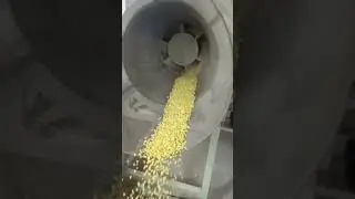 Shri Bihari ji Engg automatic fryums roasting machine ring Dal etc. Mohan Mangal 8126226030
