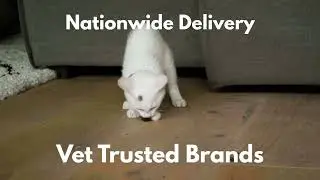 Premium Pet Supplies at Great prices