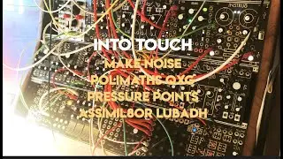 Into Touch | Make Noise Polimaths QXG Pressure Points | Assimil8or | Lubadh