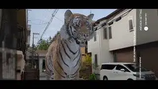ARCore Geospatial Creator for Unity
