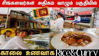 🔴  சிங்கள பாரம்பரிய முறையில் காலை உணவு 🇱🇰 | breakfast in Bandarawala | Tamil Vlog