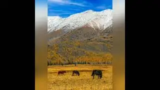 Distant Lands | Hanu Dixit