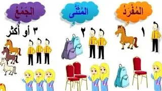 المفرد والمثنى والجمع بأسهل طريقة