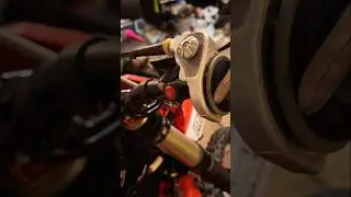 🦖 Throttle by @t-rexmoto-xllc8603 Not even @RachelGutish417 or @codywebb2 could break them!