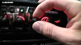 Frowin Ickler und der RH750 Bass-Amp von TC Electronic