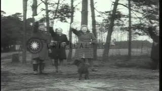 Allied armies including the Ninth United States Army fight and German citizens su...HD Stock Footage