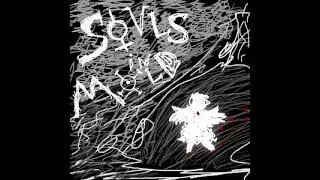 BASEMENT MUSHROOMS - Souls in Mold