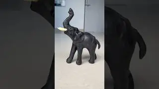 Rc Remote Control Hathi elephant 🐘 🔥