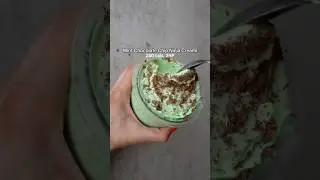 Mint Chocolate Chip Ice Cream | 250 Cals for the ENTIRE pint 🍦💚