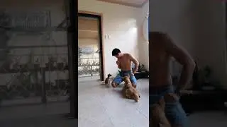 Basic training for my Dogs🐕🐕🐕
