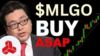 MLGO Stock TUESDAY NEWS! (The Exact Answer!) MicroAlgo