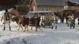 Plugarii din Putna 5