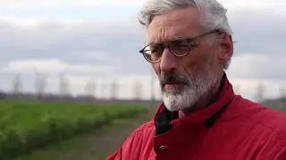 Kringlooplandbouw: De rol van de bodem | WUR