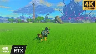 Arriving in Hyrule 🌿 1 Hour Relaxing Gameplay (Zelda TotK) [4K No Commentary]