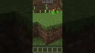 Minecraft game ...