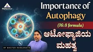Importance of Autophagy (16:8 formula)! ! I ಆಟೋಫ್ಯಾಜಿಯ ಮಹತ್ವ! I ఆటోఫాజీ ప్రాముఖ్యత (16:8 ఫార్ములా)