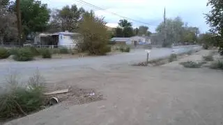 Team Associated 2wd 2s with reedy speed run