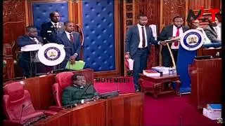 Drama in Senate as Woman Storms Senate Wailing during Impeachment Hearing!