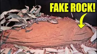 DIY Reptile Basking Rock!! (Fake Rock)