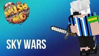 Jogando Sky Wars at&eacute; ganhar ( ou talves s&oacute; perder)