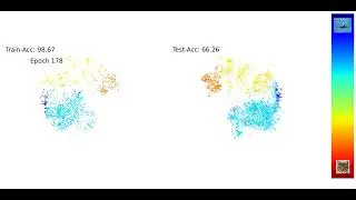 Evolution of UMAP Embeddings in ResNet-152: Hypernymb Bias and Neural Collapse