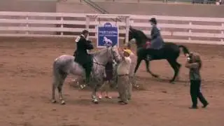 South Carolina Championship 2010 Lite Shod English