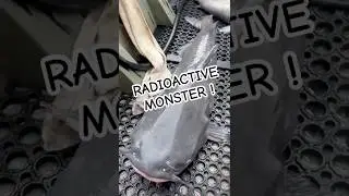 FISHING at the NUCLEAR FACILITY #fishing #comedy #funny #nuclear #hunting #bass #news