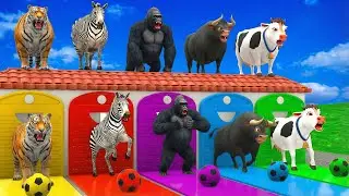 Long Slide Game with Cow Elephant Gorilla Hippopotamus Tiger 3d Animal Game Funny 3d Animals
