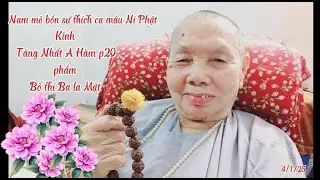 Nội tôi tập 448,Kinh Tăng Nhất A Hàm p20, phẩm Bố thí Ba La Mật , Những câu nói hay, Thúy Nguyễn