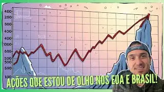 STOCKS FOR LONG TERM HOLDING IN BRAZIL AND USA! #cryptoPT #feelleh #bitcoin #amd
