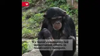 Only 1 week away! #givingtuesday #givingback #wildlife #conservation