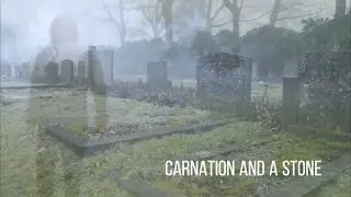 John Vain - Carnation and a Stone