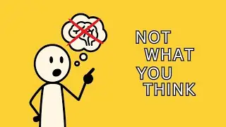 You&rsquo;ve Been Fooled by Your Brain: Here&rsquo;s How