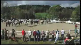 GMHA's 75th Annual 100-Mile Trail Ride