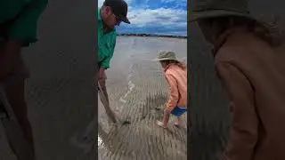 Yabby pumping 🦞#livebait #freshbait #yabby #fishingaustralia #fishingmethods