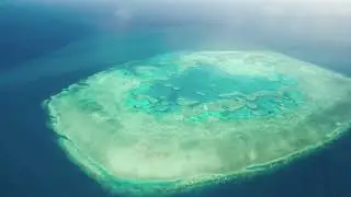 Victoria Cruises Natural Wonders 7 Great Barrier Reef Australia