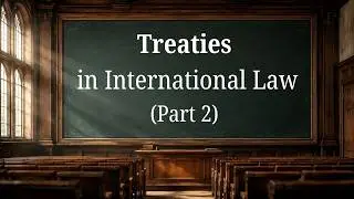 Treaties in International Law Part 2 |  Effects! | IntlLaw Academy's lectures with Professor Walter