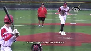 Austin Wings 16U Black & 17U Black