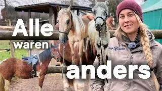 Warum kein Pferd gleich trainiert werden sollte