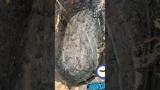 Atlanta City Worker uncovers water💧 meter FILLED with concrete!!!