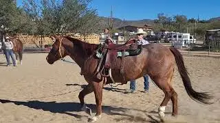 Horsemanship with Visual Aids Clinic 