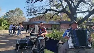 El Cumbanchero &ndash; Live at the Houston Zoo / M&uacute;sica Callejera con Acorde&oacute;n y Bater&iacute;a