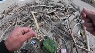September18 2020 Fearher river Oroville ca salmon fishing
