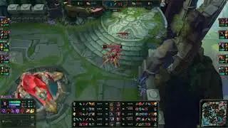 GRF Tarzan - Elise Jungle - KR Challenger 1620 LP