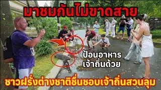 หลั่งไหลกันมาชมไม่ขาดสายทุกวี่ทุกวันต้องมีนักท่องเที่ยวชาวต่างชาติเข้ามาชมเจ้าถิ่นสวนลุม