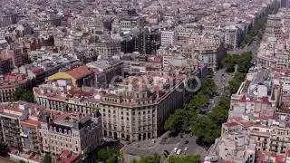 Grand Via in Barcelona a Treelined Street in the Bustling Gothic City | Stock Footage - Envato e...