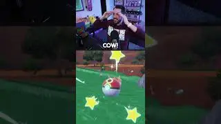 Two Shiny Pokemon Same Time